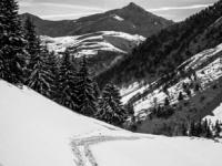 Hebdo photo 2026 - Semaine 2